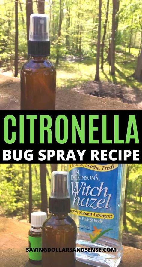 Bug Spray Essential Oils, How To Repel Flies, Repel Flies, Homemade Bug Repellent, Repellent Diy, Diy Citronella, Essential Oil Bug Spray, Diy Bug Repellent, Mosquito Repellent Homemade