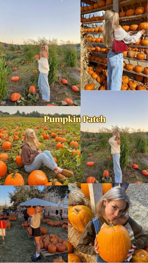 Pumpkin Patch Pictures, Story Post, Insta Story, Pumpkin Patch