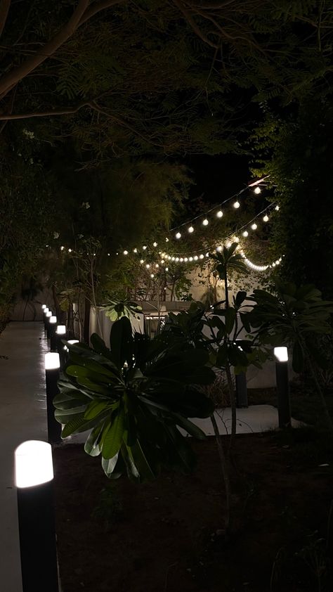 Night Time Garden, Garden Aesthetic, Night Garden, Night Lights, Night Time, Night Light, Quick Saves