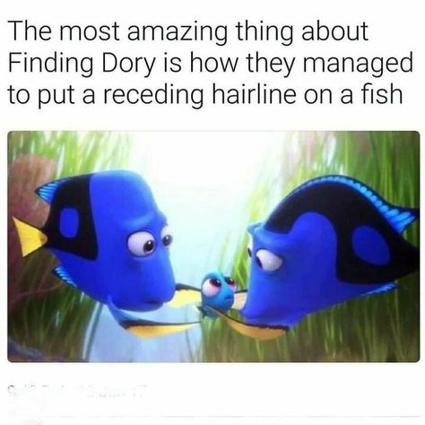 Funny Memes About Life, Funny Disney Memes, Movie Memes, Funny Quotes Sarcasm, Teen Posts, Disney Jokes, Funny Quotes For Teens, Finding Dory, Cartoon Memes