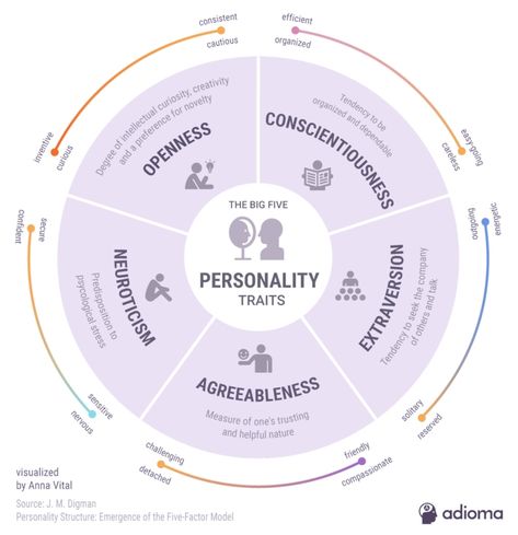 Forget the Myers-Briggs, Use the Big Five - HeadStuff College Infographic, Big 5 Personality, Big Five Personality Traits, Famous Entrepreneurs, The Big Five, Personality Psychology, Character Personality, Fun Test, Happiness Project