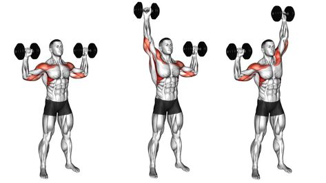 Overhead Dumbbell Press: Muscle Worked, Benefits, Variations Overhead Dumbbell Press, Overhead Press Muscles Worked, Exercise Drawing, Leg Press Workout, Barbell Shoulder Press, Chest Workout Routine, Upper Body Exercises, Dumbbell Shoulder Press, Gaining Muscle