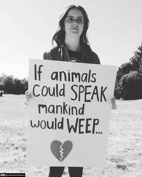 It's a disgrace what we do to the defenseless. We should protect them, not exploit them. Vegan Activism, Vegan Facts, Protest Posters, Animal Activism, Vegan Quotes, Why Vegan, Animal Liberation, Protest Signs, Stop Animal Cruelty