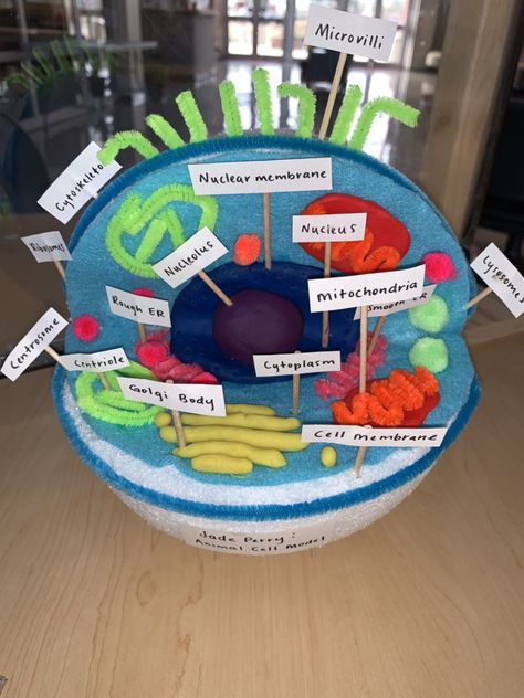 Animal Cell Project Styrofoam, Animal Cell Project Ideas Models, 3d Animal Cell Project 7th Grade, 3d Animal Cell Project, Animal Cell Model Project, 3d Animal Cell, Animal Cell Model, Rosie Project, Cell Model Project