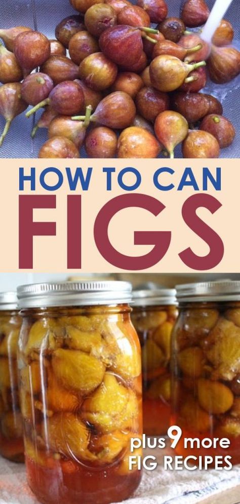 Fig Recipes Fresh, Cooking Carrots, Water Bath Canning Recipes, Pressure Canning Recipes, Canning Fruit, Water Bath Canning, Fig Recipes, Fresh Figs, Canned Food