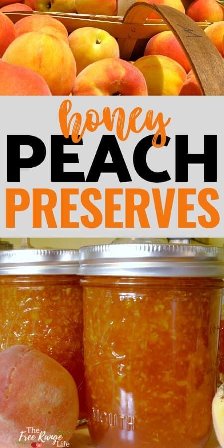 Honey Jam Recipes, White Peach Recipes, Peaches Cheesecake, Peach Preserves Recipe, Canning Jam Recipes, Peach Jam Recipe, Canning Peaches, Pressure Canning Recipes, Peach Jelly