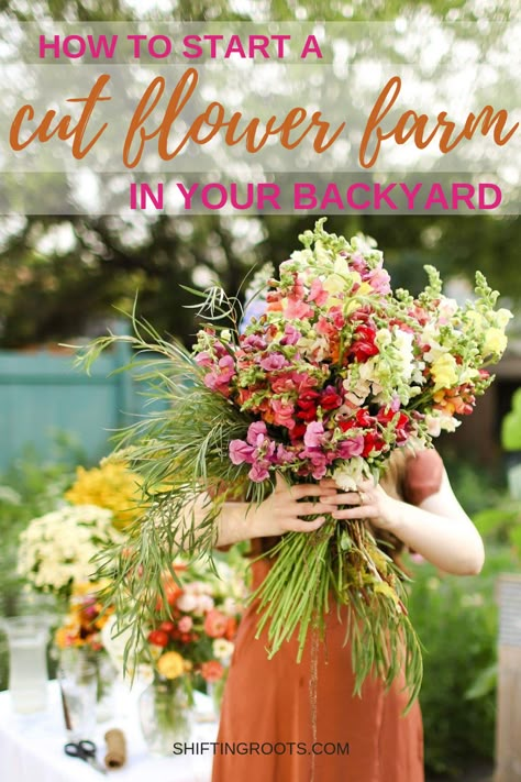 How to Grow A Floret-Style Cut Flower Garden on the Cheap | SHIFTING ROOTS Food Organisation, Growing Cut Flowers, Cut Garden, Backyard Flowers Garden, Flower Farms, Cut Flower Farm, Organisation Tips, Flower Farming, Backyard Flowers