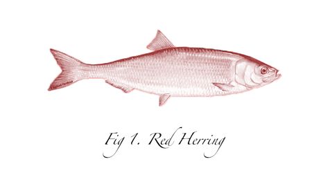 Red Herring Tattoo, Herring Tattoo, Alex Tattoo, Red Herring, Fall Semester, Fish Tattoo, Visual Language, Calming Scents, Picture Logo