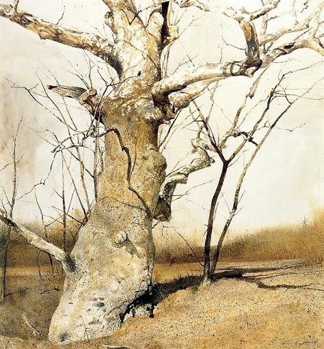 Bare Trees: Andrew Wyeth Wyeth Andrew, Andrew Wyeth Watercolor, Wyeth Paintings, Andrew Wyeth Paintings, Andrew Wyeth Art, Jamie Wyeth, Sycamore Tree, Andrew Wyeth, Watercolor Trees