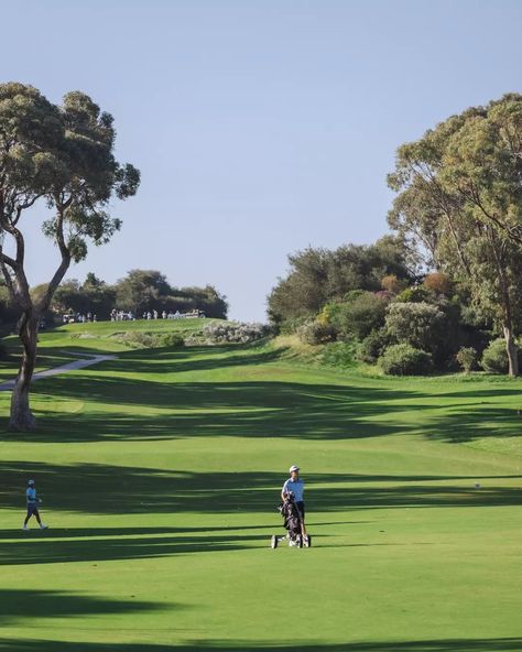 Our award-winning 27-hole championship golf course, practice facilities and Golf Academy are open to the public 7 days a week ⛳️⛳️ #JoondalupResort Golf Academy, Golf Course, The Public, Golf Courses, Award Winning, Golf, On Instagram, Instagram