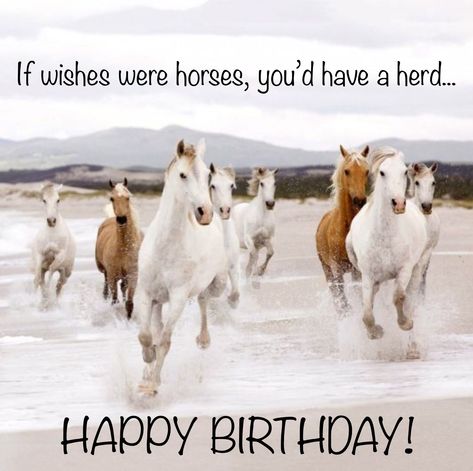 Happy birthday horses Happy Birthday Horse Lover, Horse Happy Birthday Image, Quotes Daughter, Birthday Horse, Happy Birthday Dear Friend, Image Happy, Happy Birthday Man, Happy Horse, Happy Birthday 18th