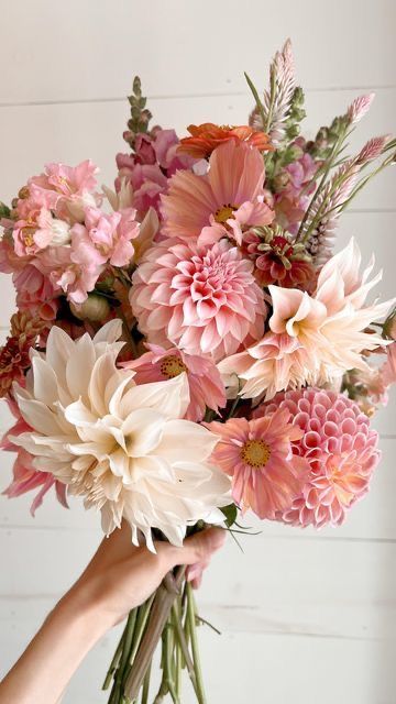 Sept Wedding Flowers, Dahlia Flower Bouquet Wedding, Dahlias And Peonies, October Seasonal Flowers, Pastel Dahlia Bouquet, Light Flower Bouquet, Same Flower Bouquet, Dahlia Wedding Florals, Dahlia And Ranunculus Bouquet