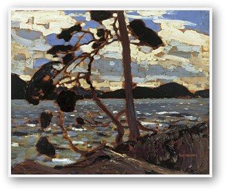 Tom Thomson, Art Gallery Of Ontario, Tree Paintings, Emily Carr, Canadian Painters, Group Of Seven, Nature Painting, Post Impressionism, Canadian Art