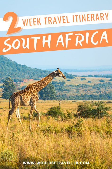 Africa Travel Beautiful Places, South Africa Itinerary, Tsitsikamma National Park, South Africa Wildlife, South Africa Travel Guide, Africa Itinerary, Africa Travel Guide, Kenya Travel, Africa Destinations