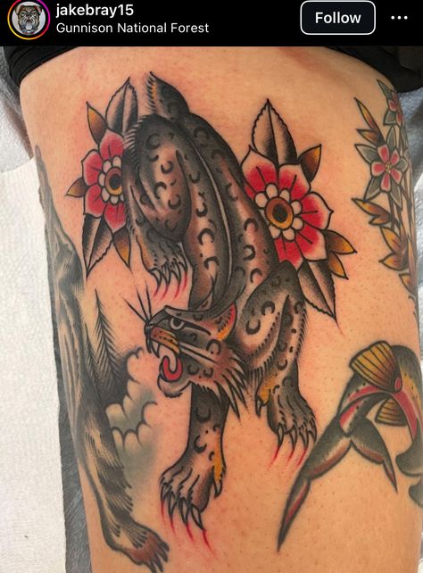 Bob Cat Tattoo, Traditional Bobcat Tattoo, American Traditional Rib Tattoo, Bobcat Tattoos, Flash Ideas, Rib Tattoo, American Traditional, A Tattoo, Traditional Tattoo