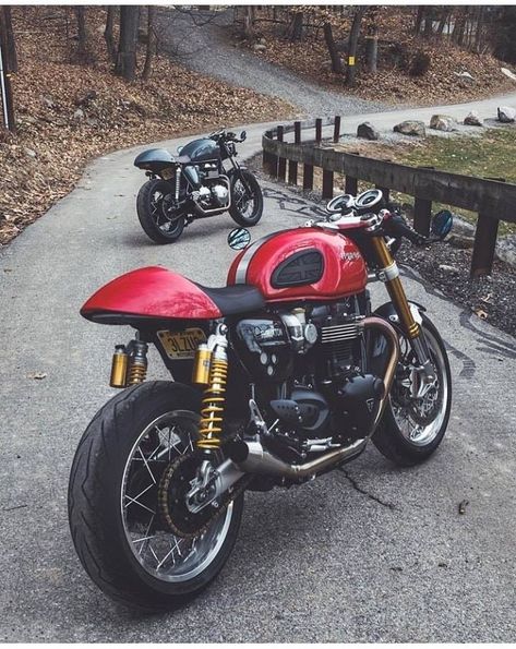 Triumph Thruxton Thruxton 900, Bobber Scrambler, Triumph Moto, Custom Triumph, Honda 750, Triumph Cafe Racer, Best Motorbike, Triumph Motorcycle, Scrambler Custom