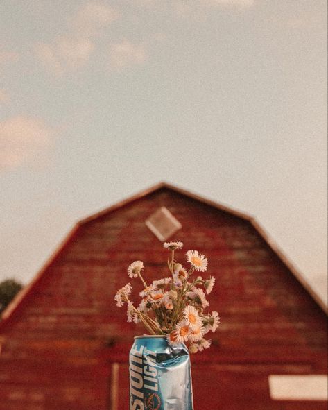 Wildflowers & Beer 🌸🍻 #wildflower #western #prairie #saskatchewan #flowerstagram #flowerpower #beer #westernart #westernartphotography #countryside #canadianart #canadianartist Blue Western Aesthetic, Western Wildflowers, Wildflower Wallpaper, Western Aesthetic, Western Art, Random Stuff, Baby Blue, Wild Flowers, Art Photography