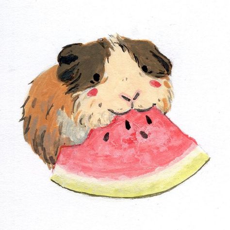 @taniasketches Tania | Illustrator Watermelon Painting, Pig Painting, Pig Drawing, Pig Pictures, Pig Illustration, Pig Art, Cute Animal Illustration, Funny Illustration, Anatomy Art