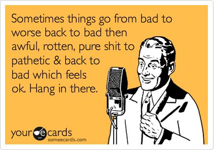 Sometimes things go from bad to worse back to bad then awful, rotten, pure s**t to pathetic & back to bad which feels ok. Hang in there. Funny Hang In There Quotes, Hang In There Meme, Quotes About Hanging In There, Hanging In There Funny, Hanging In There Quotes, Hang In There It Gets Worse, Hang In There Quotes Funny, Hang In There Funny, Hang In There Quotes