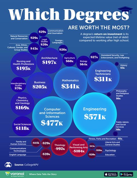 Which College Degrees Have the Best Return on Investment? Business Intelligence Analyst, Finance Degree, College Degrees, How To Study Physics, Information Science, Interdisciplinary Studies, Job Employment, Computer Science Degree, Business Infographics