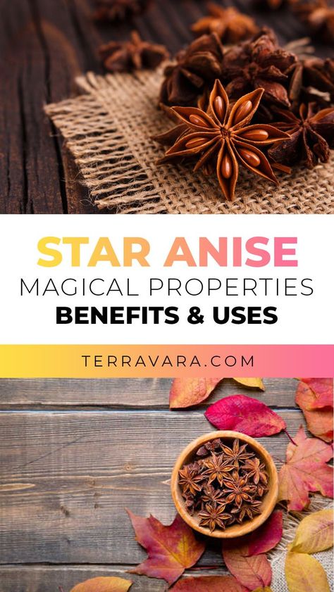 Star Anise Simmer Pot, All Spice Magical Properties, Homemade Anise Extract, Magical Properties Of Star Anise, Anise Tea Recipes, Anise Seed Benefits, Star Of Anise Benefits Of, Health Benefits Of Star Anise, Star Anise Witchcraft