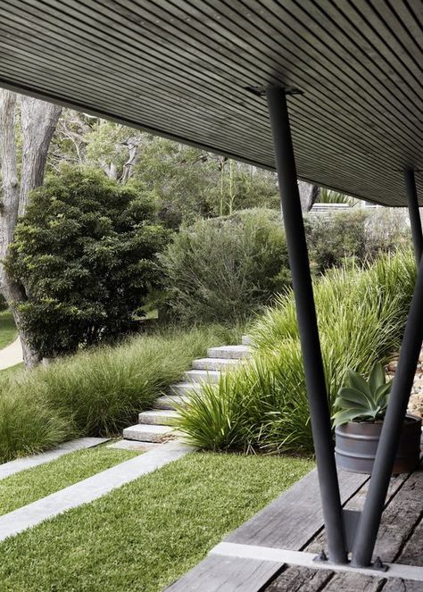 A Fraction Of The Whole Ornamental Grass Landscape, Ornamental Grass, Grasses Landscaping, Sloped Garden, Australian Garden, Garden Steps, Contemporary Garden, Native Garden, Garden Landscape Design