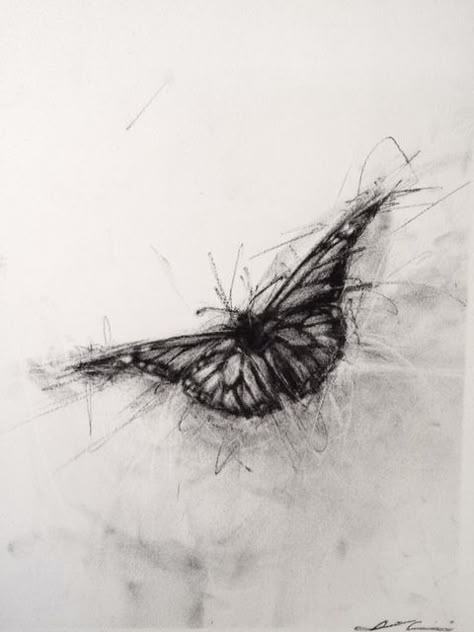 Monarch Butterfly in Flight Drawing With Charcoal, Charcoal Artwork, Charcoal Sketch, Charcoal Art, Butterfly Drawing, Pencil Art Drawings, Charcoal Drawing, 판타지 아트, Cool Art Drawings