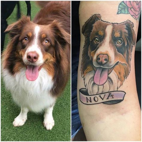 Aussie Tattoo Australian Shepherd, Australian Shepherd Tattoo, Aussie Tattoo, Traditional Ship Tattoo, Shepherd Tattoo, Flash Ideas, Aussie Shepherd, Geometric Tattoo Design, Dog Things