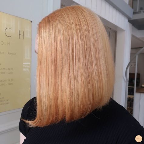 Apricot Blonde Hair, Blonde Orange Hair, Light Orange Hair, Orange To Blonde Hair, Ginger Blonde Hair, Strawberry Blonde Bob, Woman Haircut, Orange Blonde Hair, Orange Blonde