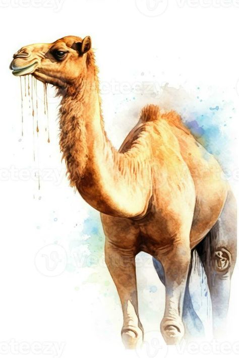 A Painting of a Watercolor Style Camel of Arabia, Generative AI Camel Painting, Camel Art, Elephant Gif, Camels Art, Xmas Art, Animal Drawings Sketches, Vector Infographic, Peacock Painting, Decorative Paintings