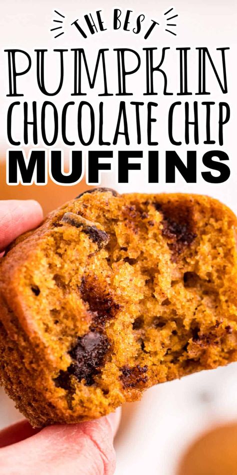 Healthy Pumpkin Chocolate Chip Muffins, Pumpkin Chocolate Chip Muffin Recipe, School Baking, Low Sugar Muffins, Choc Chip Muffins, Pumpkin Food, Gluten Free Pumpkin Muffins, Healthy Muffin, Keto Baking