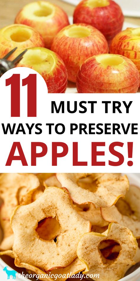 Apples Canning, Apples For Apple Pie, Preserve Apples, Preserving Apples, Make Apple Cider, Dehydrated Apples, Easy Canning, Self Sufficiency, Freezing Apples