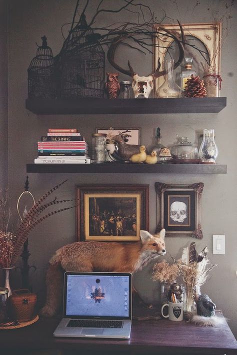 Interior Inspiration : I Want Your Skulls. Weird Interior, Eccentric Decor, Taxidermy Decor, Gothic Room, Dark Decor, October Halloween, Downstairs Bathroom, Shop Decor, Witch House