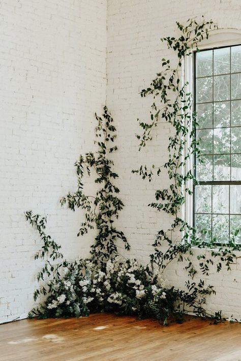 True Blue Eucalyptus, Smilax Vine, Delphinium White, Wall Greenery, Backdrop Bedroom, Greenery Backdrop, Blue Eucalyptus, Greenery Wall, Plant Installation