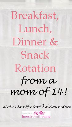 Meal Rotation, Family Breakfast, Preschool Lesson Plans, Frugal Meals, Preschool Lessons, Lunch Snacks, Easy Lunches, Large Family, Picky Eaters