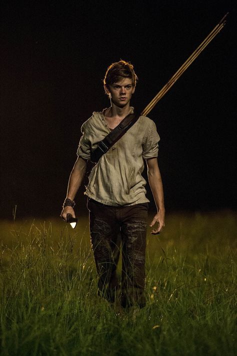 Thomas Maze Runner, Labyrinth Ball, Maze Runner Thomas, Maze Runner Trilogy, Maze Runner Imagines, Maze Runner Cast, James Dashner, Maze Runner Movie, Newt Maze Runner