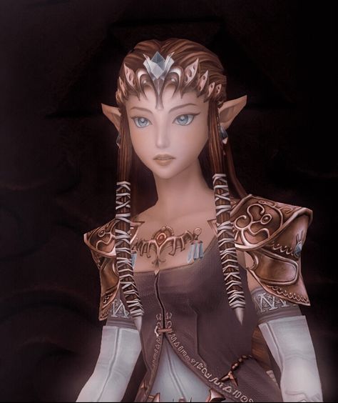 Ganondorf Twilight Princess, Zelda Pfp, Legends Of Zelda, Legend Of Zelda Characters, Pfp Manga, Princesa Zelda, Botw Zelda, Nintendo Princess, Zelda Cosplay