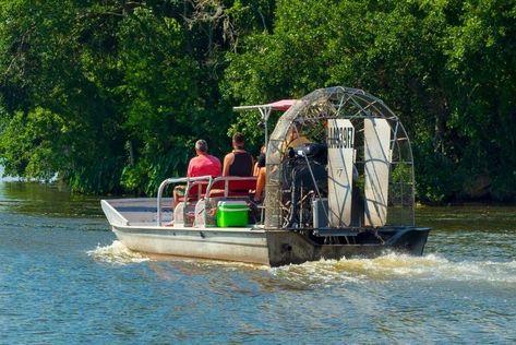 New Orleans Swamp Tour, Small Pontoon Boats, Blue Springs State Park, Louisiana Swamp, Swamp Tours, Florida Travel Guide, Everglades Florida, Everglades National Park, Visit Florida