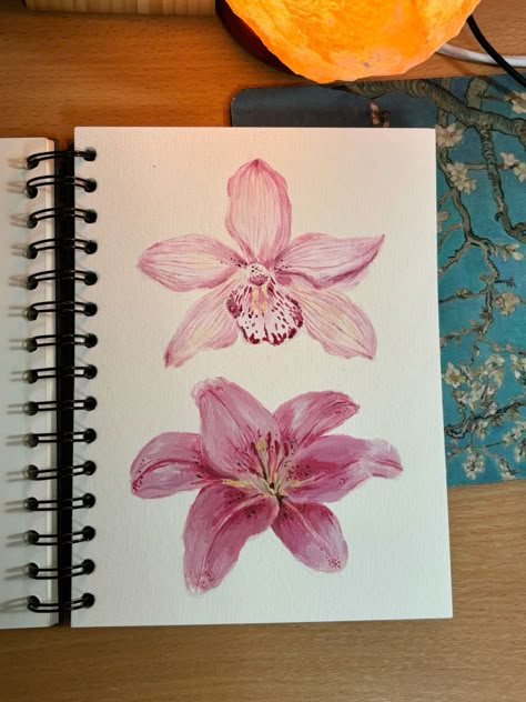 How To Draw Lily, How To Draw A Lily, Lilies Flowers Drawing, Watercolour Lilies, Lillies Drawings, Lilly Drawing, Lily Sketch, Lily Flower Drawing, Lilies Watercolor