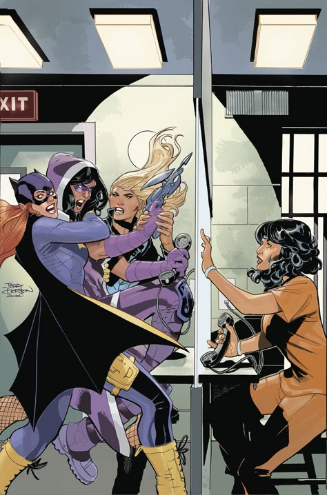 Terry Dodson, The Birds Of Prey, Helena Bertinelli, Dc Batgirl, Characters Drawing, Univers Dc, Barbara Gordon, Arte Dc Comics, Batman Comic Art