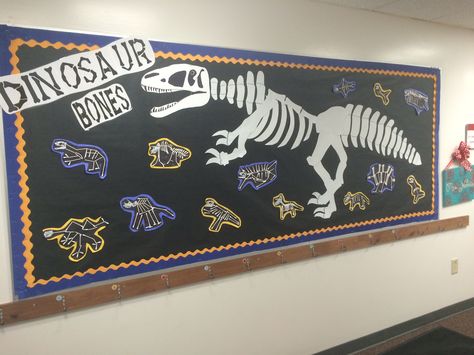 Love my dinosaur bones bulletin board. Dinosaur Bulletin Boards, Dinosaurs Eyfs, Dinosaur Ideas, Dinosaur Display, Dinosaur Classroom, Dinosaur Activities Preschool, Dinosaur Projects, Dinosaur Land, Dinosaur Museum