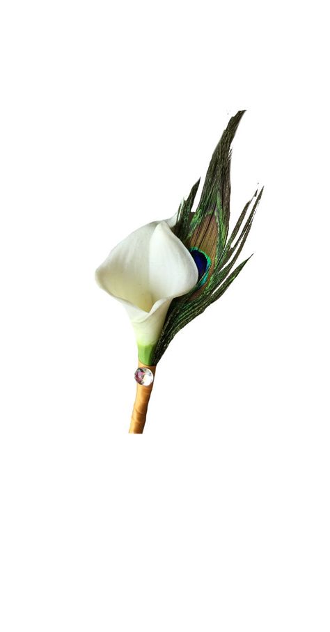 Real Touch Calla lily Peacock boutonniere-Pick by AngelIsabella Ribbon Pin, Grey Ribbon, Pearl Pin, Artificial Silk Flowers, Ribbon Wrap, Gerbera Daisy, Gold Ribbon, Artificial Roses, Hydrangea Flower