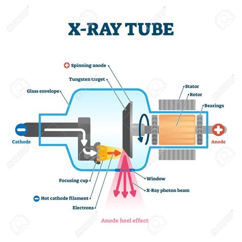 Radiography Student, Radiology Schools, Medical Radiography, X Ray Tube, Radiologic Technology, Radiology Student, Radiology Imaging, Learn Physics, Radiology Technologist