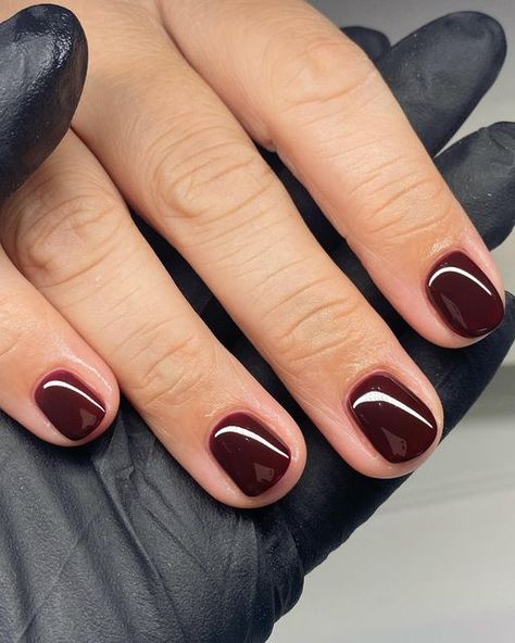 Dark Red Short Natural Nails, Dark Sns Nail Colors, Short Nail Dark Color, Super Short Nails Ideas Fall, Plum Nails Short, Short Oxblood Nails, Short Dark Dip Nails, Short Coloured Nails, Deep Red Short Nails