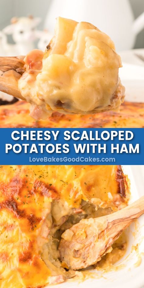 Cheesy Scalloped Potatoes and Ham pin collage Scalloped Potatoes And Ham Recipes, Scalloped Potatoes And Han, Ham And Cheese Potato Bake, Easy Cheesy Scalloped Potatoes And Ham, Ham And Cheesy Scalloped Potatoes, Scalloped Potatoes And Ham For Two, Ham And Potatoes Casserole Recipes, Cheese Scalloped Potatoes And Ham, Ham Potato And Onion Casserole