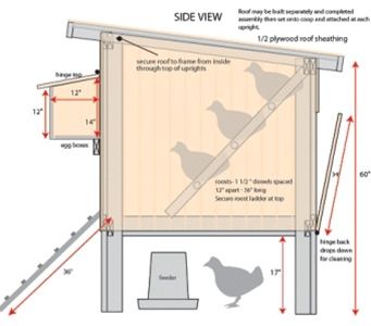 Hen House & Hutch Design | Postris Chicken Houses, Nest Boxes, Backyard Chicken Coop Plans, Chicken Coup, Diy Chicken Coop Plans, Coop Design, Chicken Coop Designs, Coop Plans, Chicken Garden