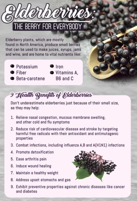 Elderberry Syrup Benefits, Elderberry Benefits, Herbal Vitamins, Elderberry Plant, Elderberry Extract, Irish Sea Moss, Canned Juice, Elderberry Syrup, Health Heal