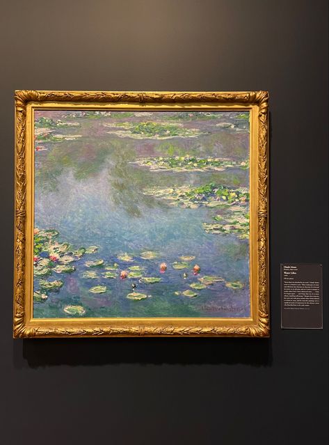 Claude Monet Paintings, Claude Monet Art, Monet Water Lilies, Monet Art, Monet Paintings, Chicago Art, Art Institute Of Chicago, Water Lilies, Claude Monet