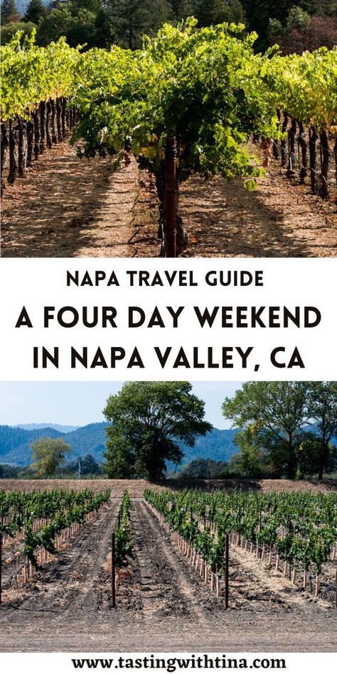 Napa Valley Wine Tasting, Cakebread Cellars, Four Day Weekend, Napa Trip, Napa Wineries, Wine Education, Napa Valley Wine, Types Of Wine, Four Days