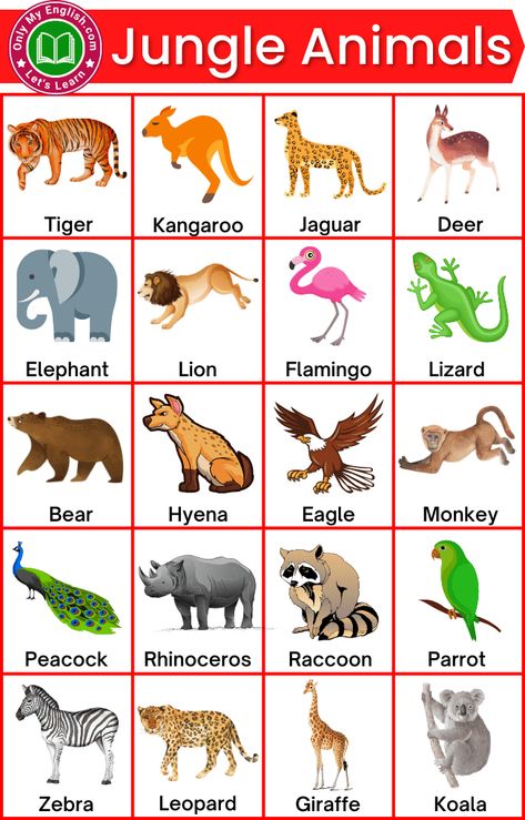 Jungle Animal Flashcards Printable Free, Endangered Species Activities, Animals Name With Picture, Jungle Animals Pictures, Jungle Activities, Animals And Their Homes, Brain Gym For Kids, Animal Pictures For Kids, Animals Name In English